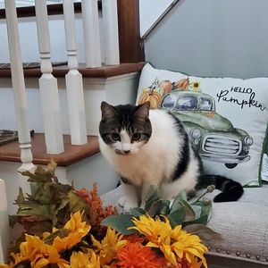 Meet your Posher, Lisa